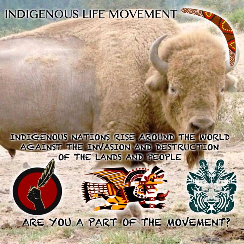 Meet your Posher, Jan